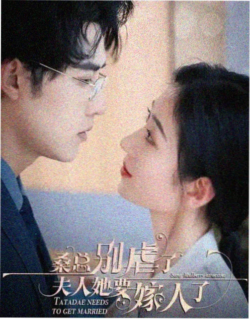 暗涌之城 2026热播电视剧免费观看