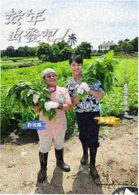 荒野厨房 下饭综艺推荐